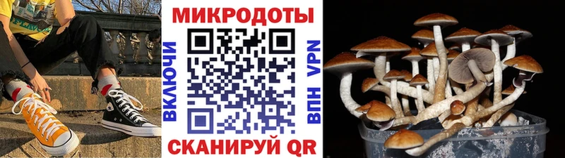 Галлюциногенные грибы мухоморы  Купить где  Магнитогорск 